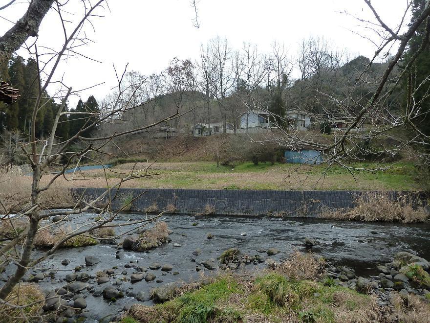 daimaru9.jpg