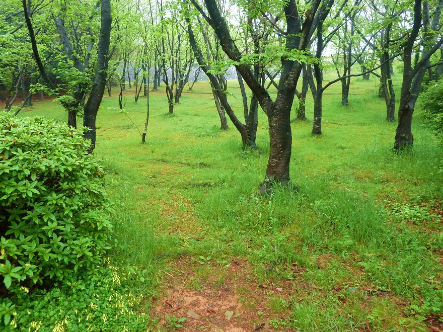 green.jpg