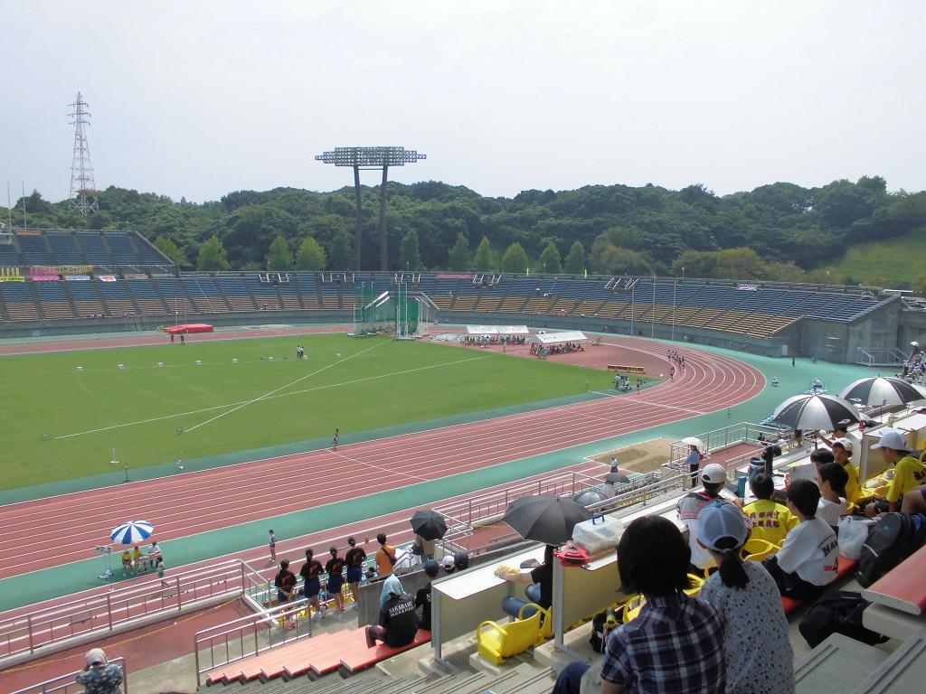 hakata no mori3.jpg