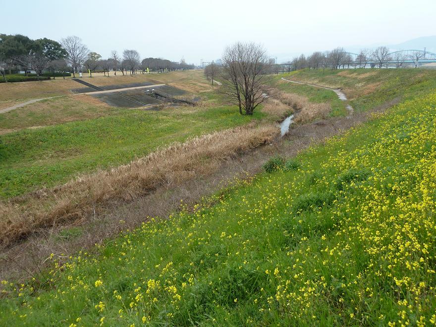 hyakunen park.jpg