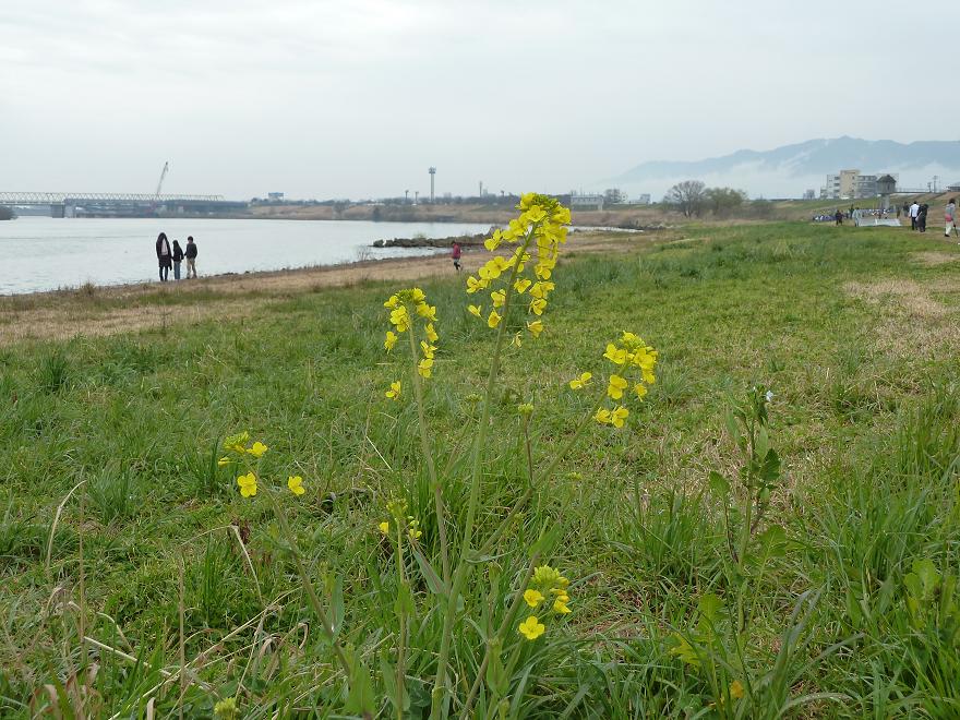 hyakunen2 park.jpg