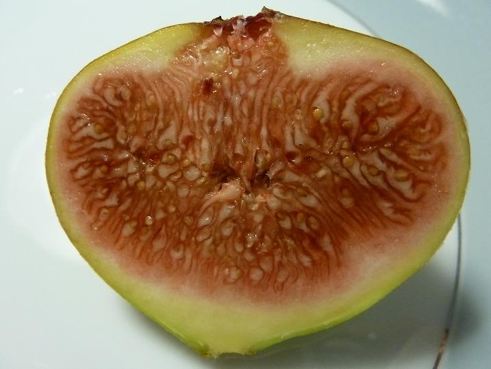 itijiku 1.jpg