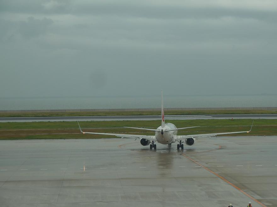 jal1.jpg