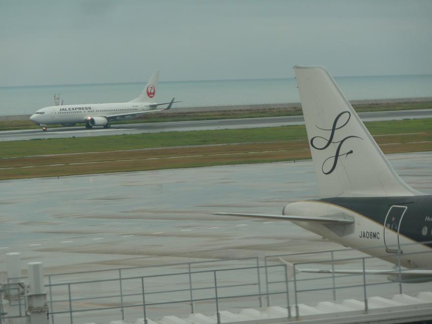 jal3.jpg