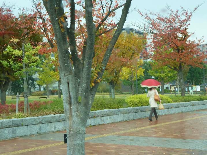 katsuyama park.jpg