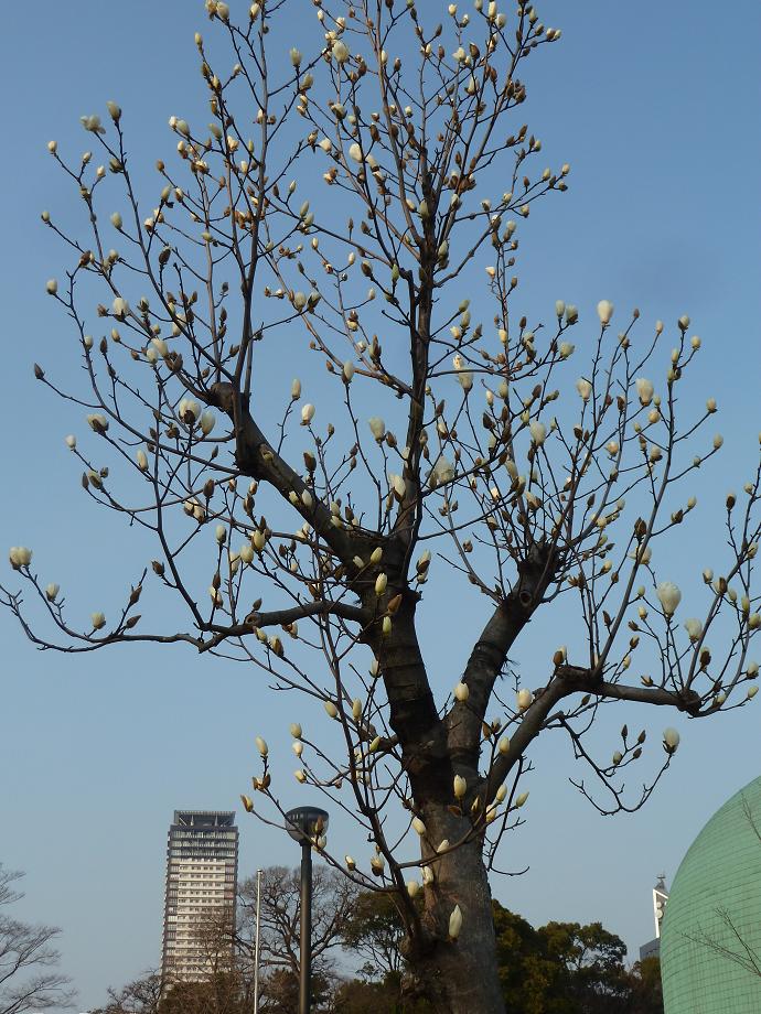 katsuyama park.jpg