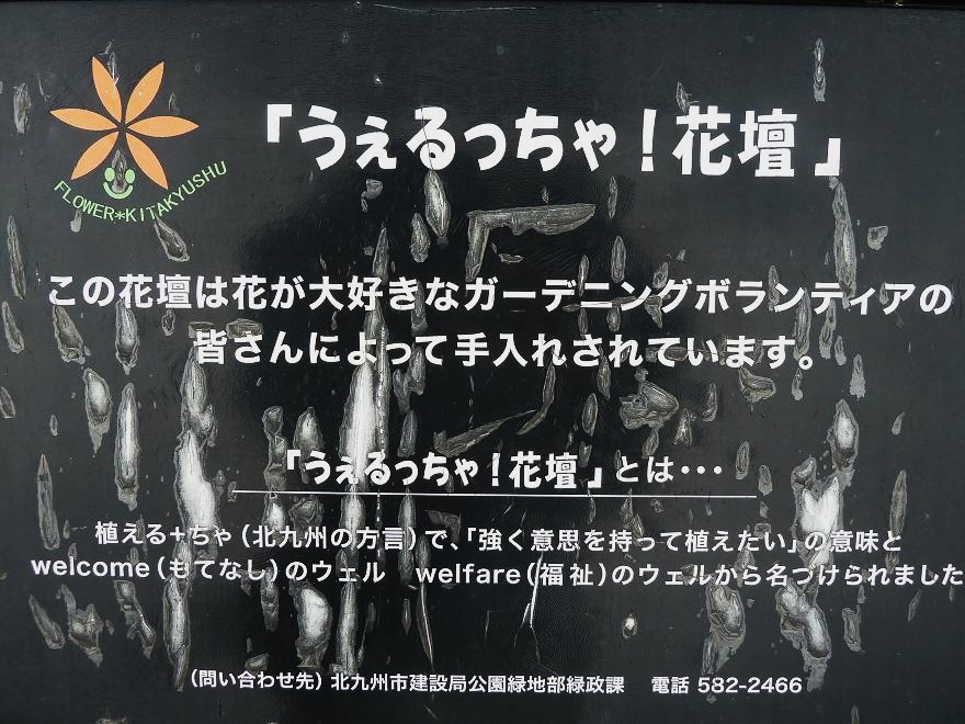 katsuyama park1.jpg