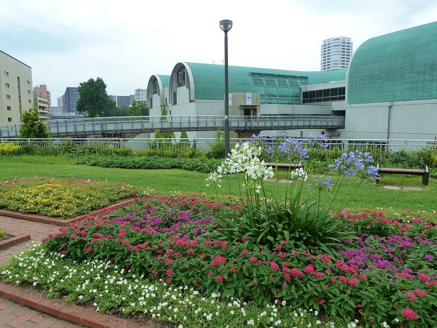 katsuyama park3.jpg