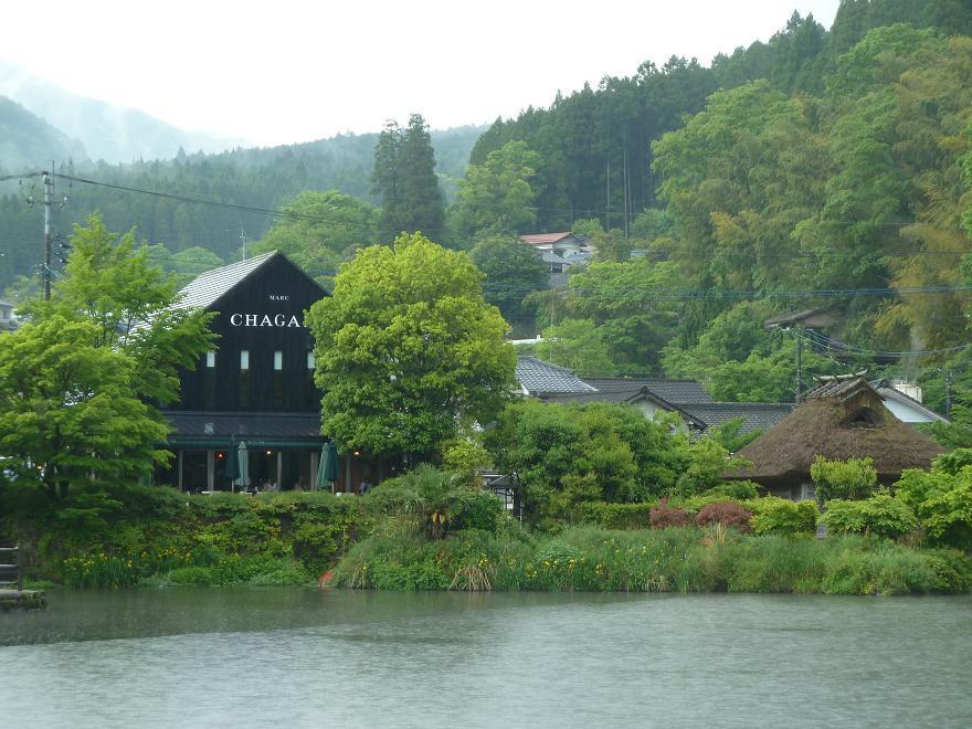 kinrinko2.jpg