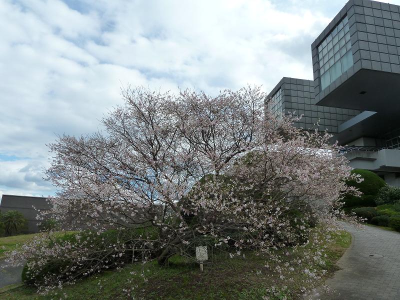 kitakyushu museum2.jpg