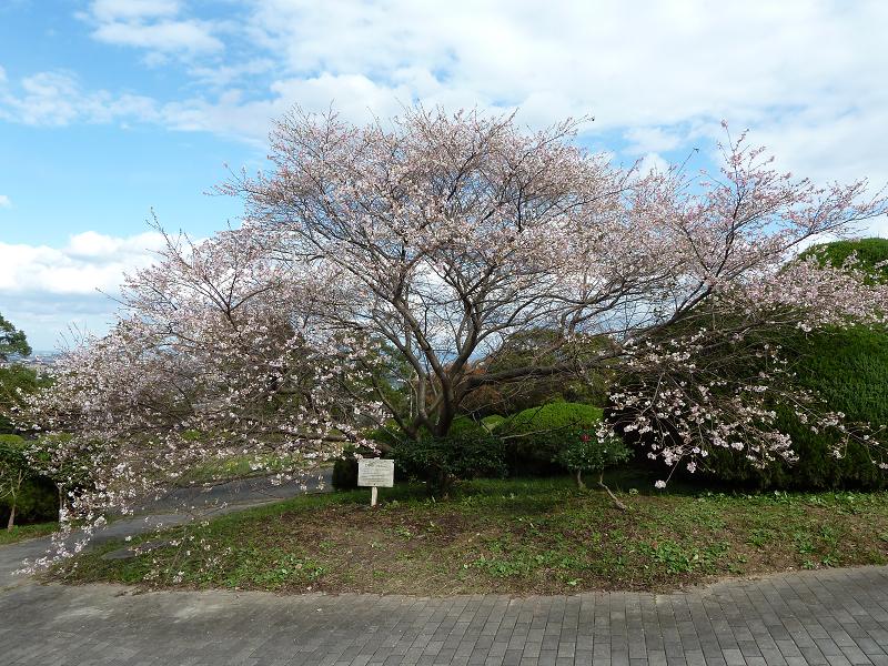 kitakyushu museum3.jpg