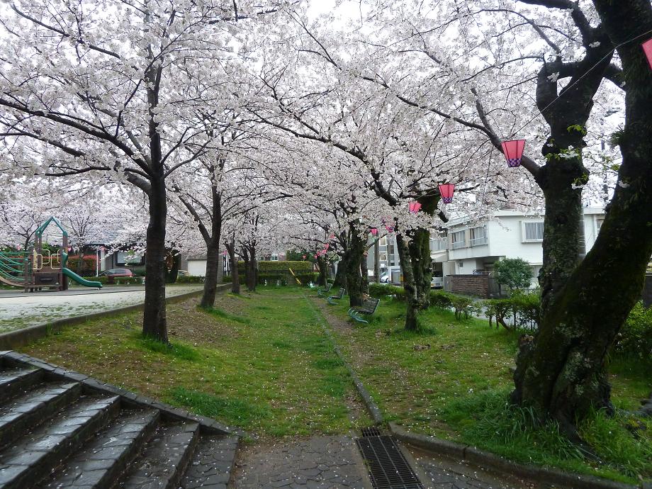 kokura11.jpg