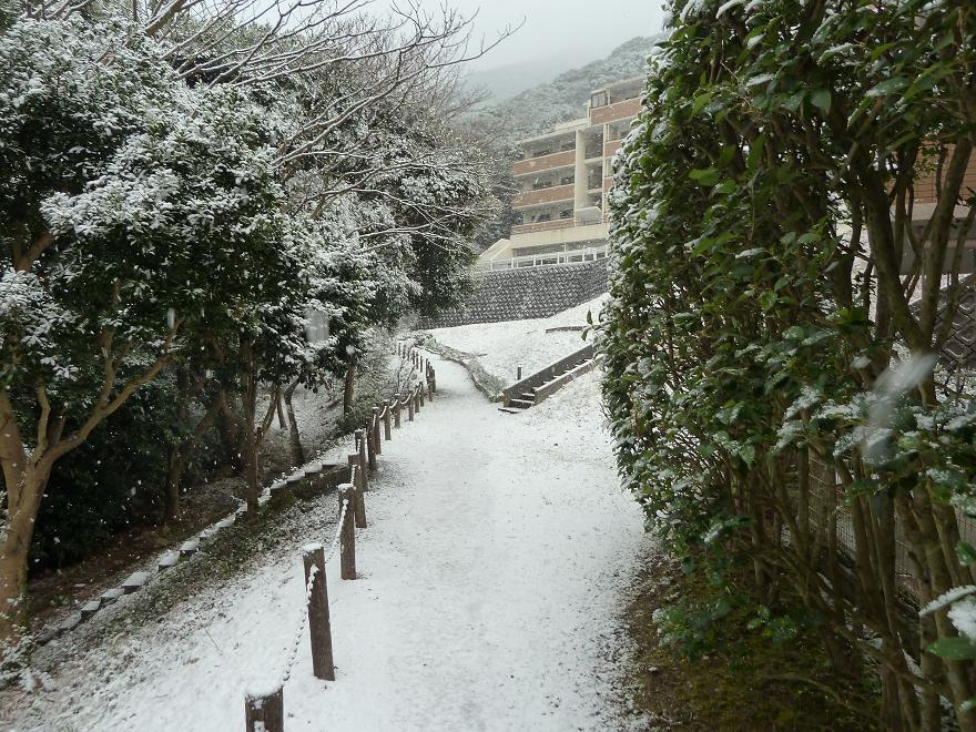 kokura2.jpg