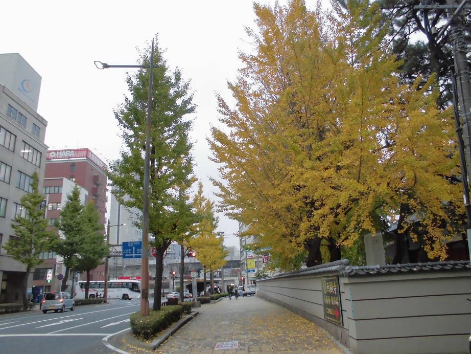 kokura kitaku.jpg