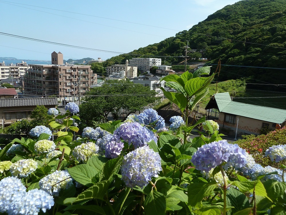 kokura kitaku.jpg