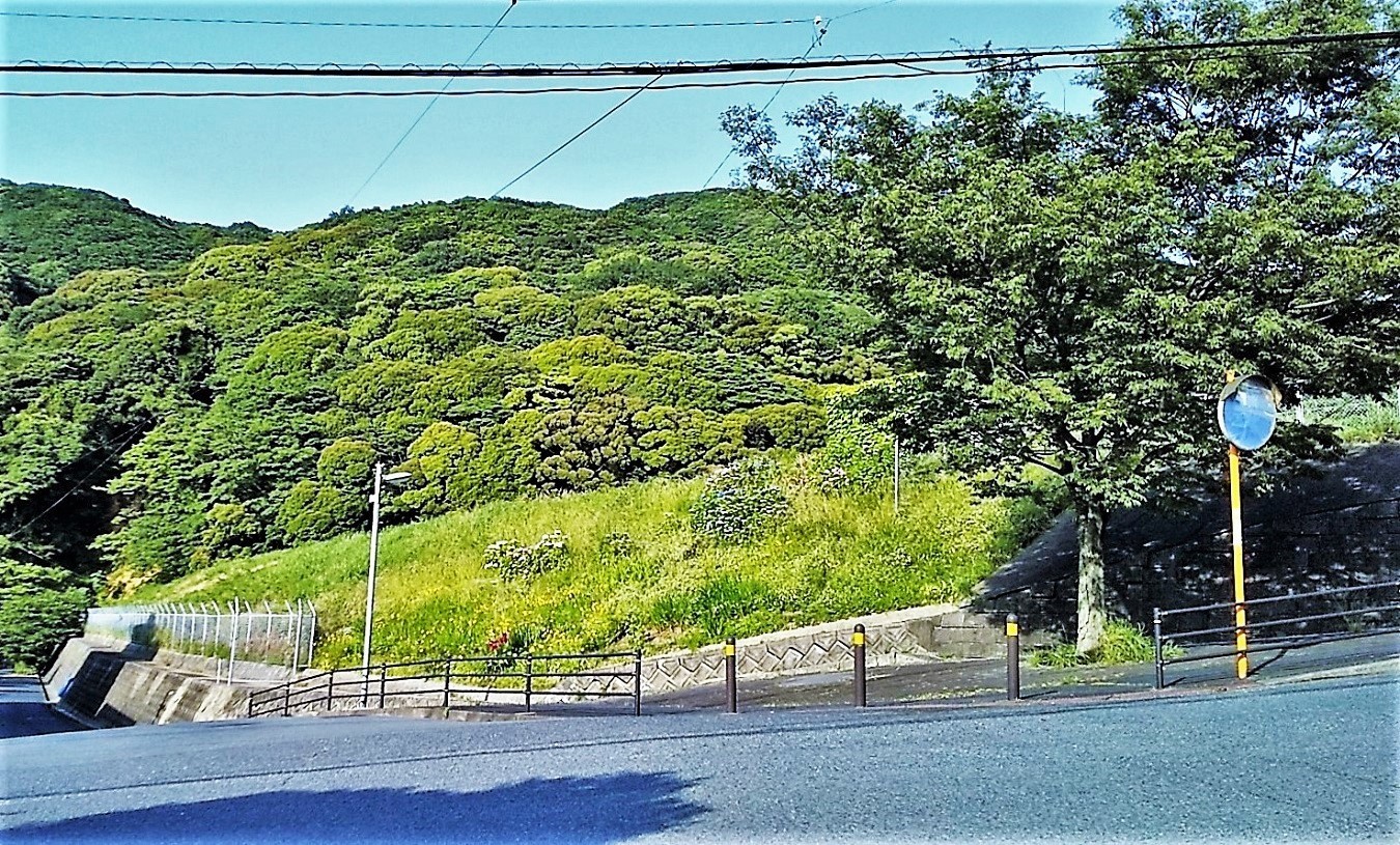 kokura kitaku (1).jpg