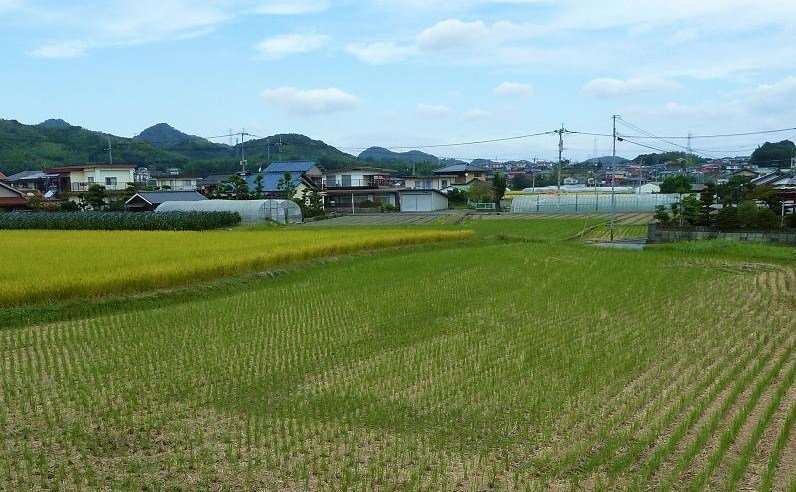 kokura minamiku.jpg