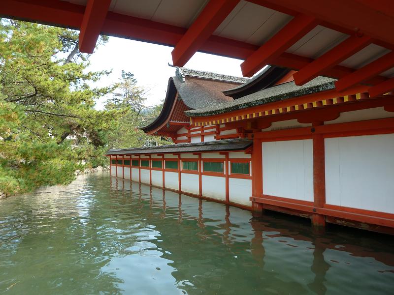miyajima5.jpg