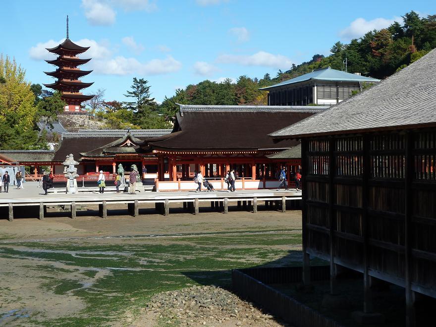 miyajima7.jpg