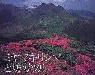 miyama.jpg
