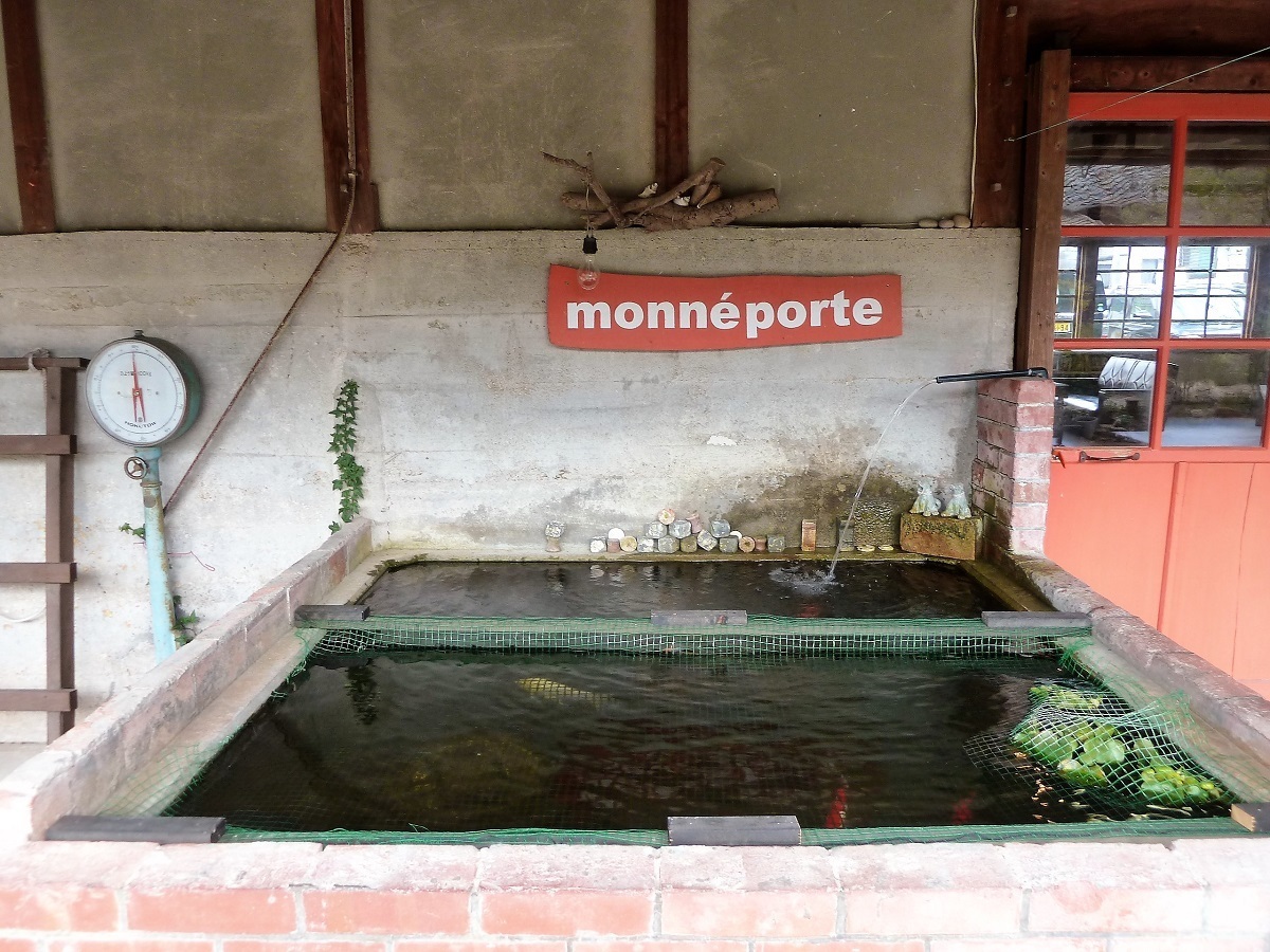 monne porteA.jpg