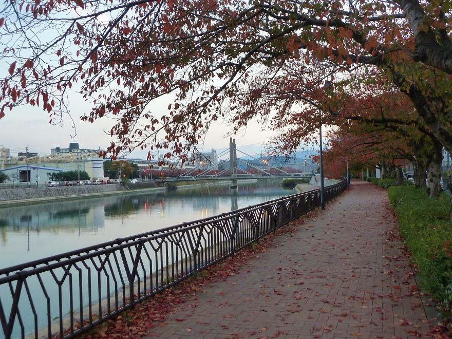 murasaki river.jpg