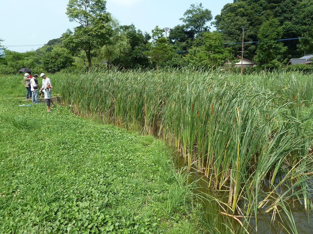 nagano kokuramimam1.jpg