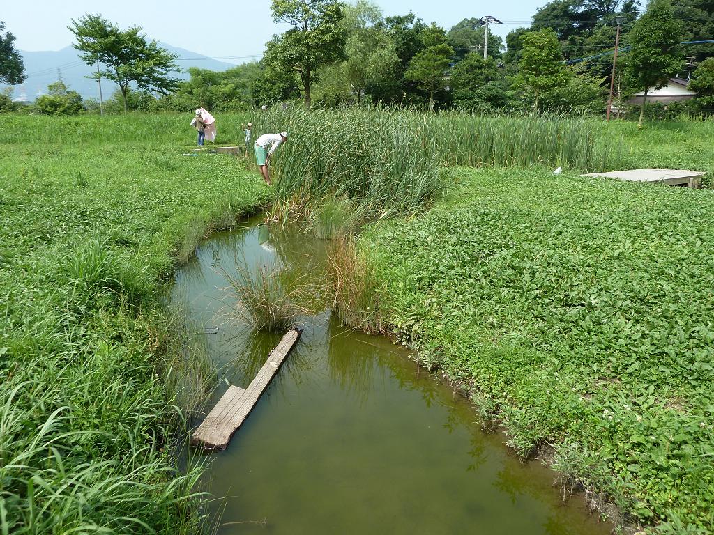 nagano kokuramimami2.jpg