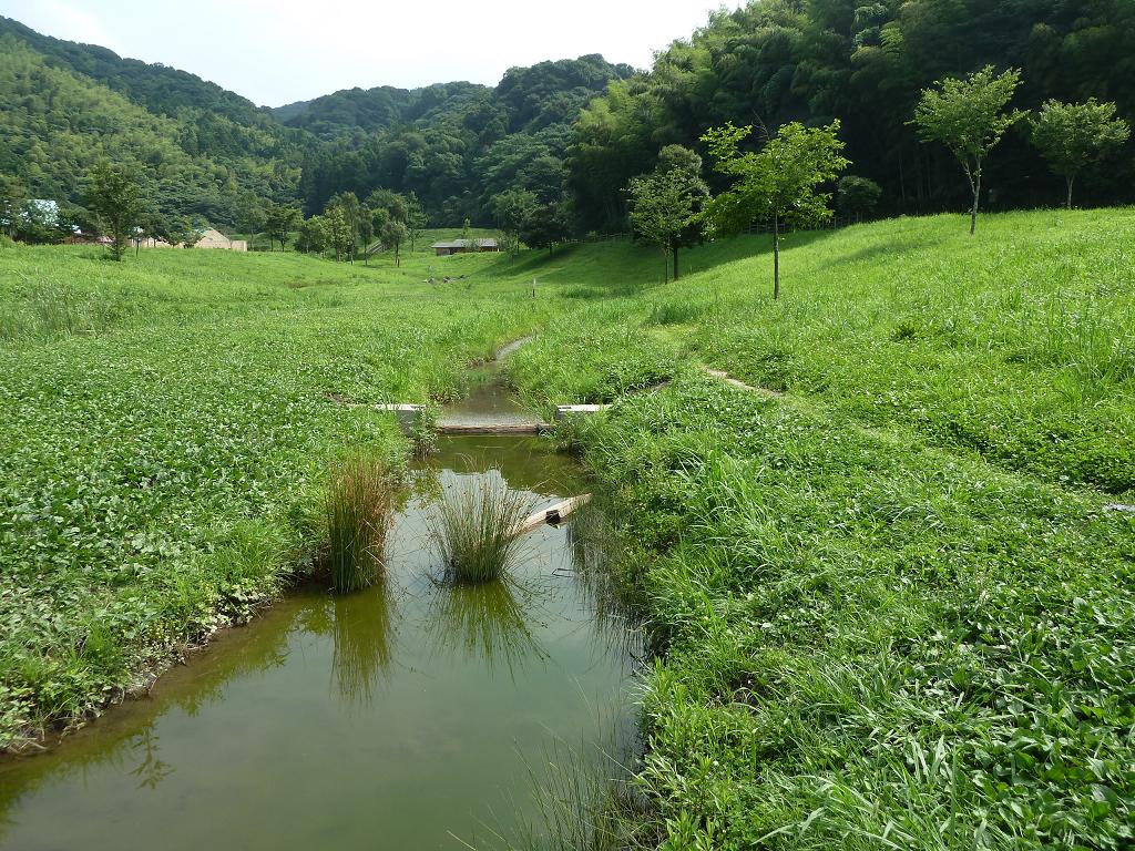 nagano kokuramimami9.jpg