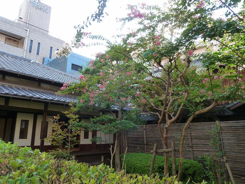 ogai2.jpg