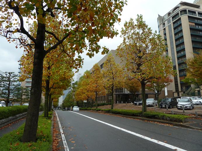 otemachi 2.jpg