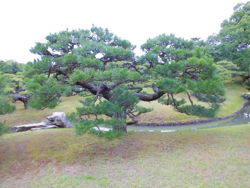 ritsurin3.jpg