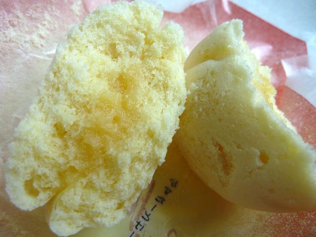 sagahumika 3.jpg