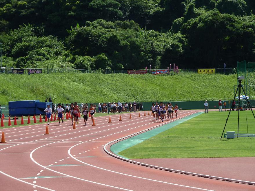 sayagatani.jpg