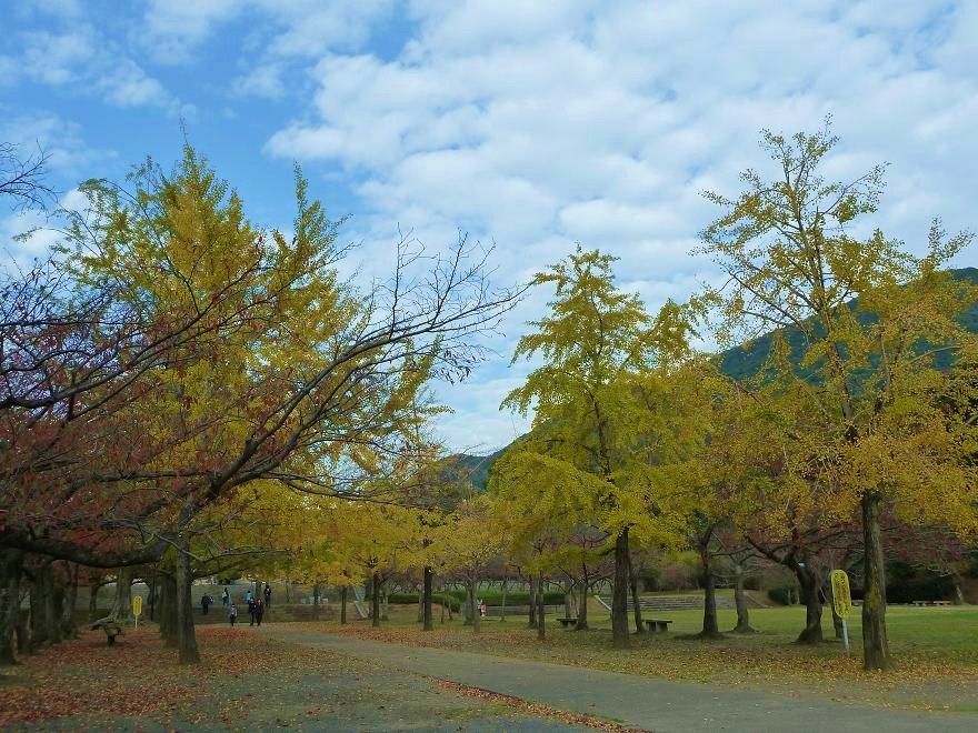 shnrin park.jpg