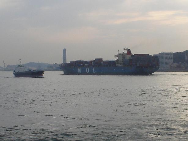 siryou920051.jpg