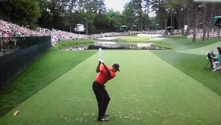 tiger wood.jpg