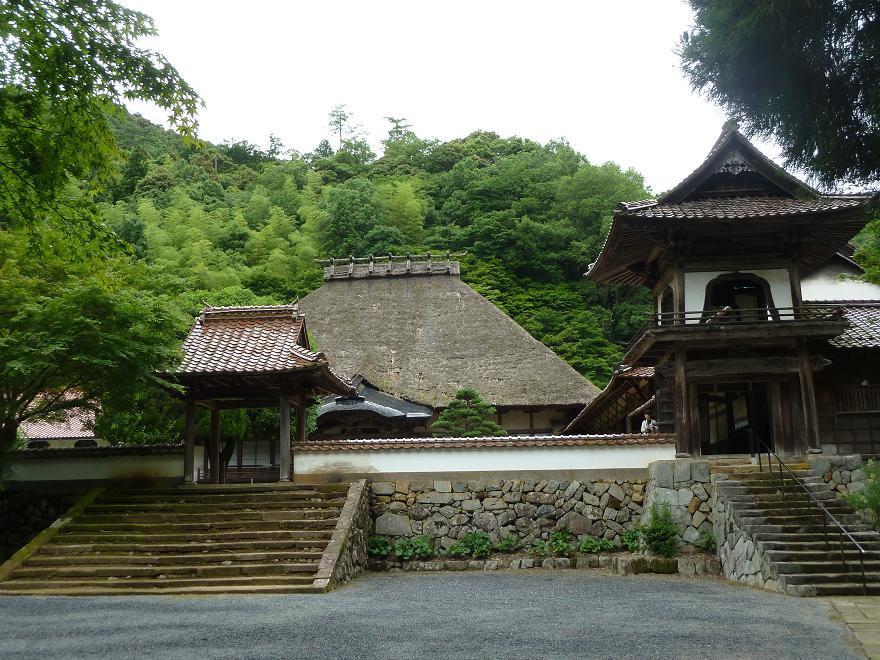 tuwano33.jpg
