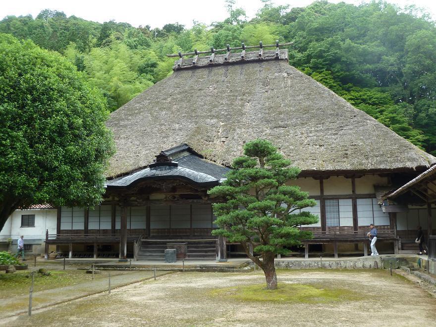 tuwano35.jpg