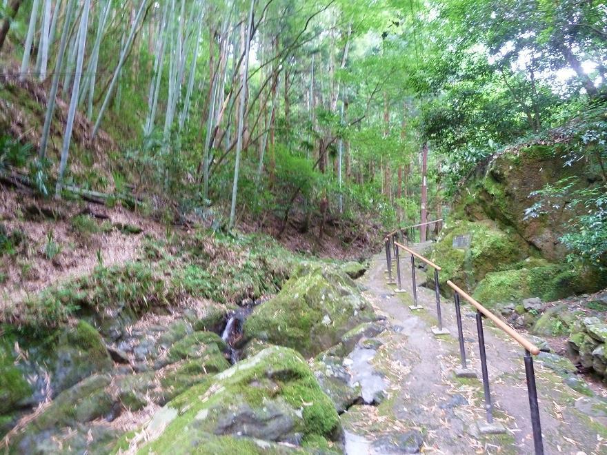 tuwano39.jpg