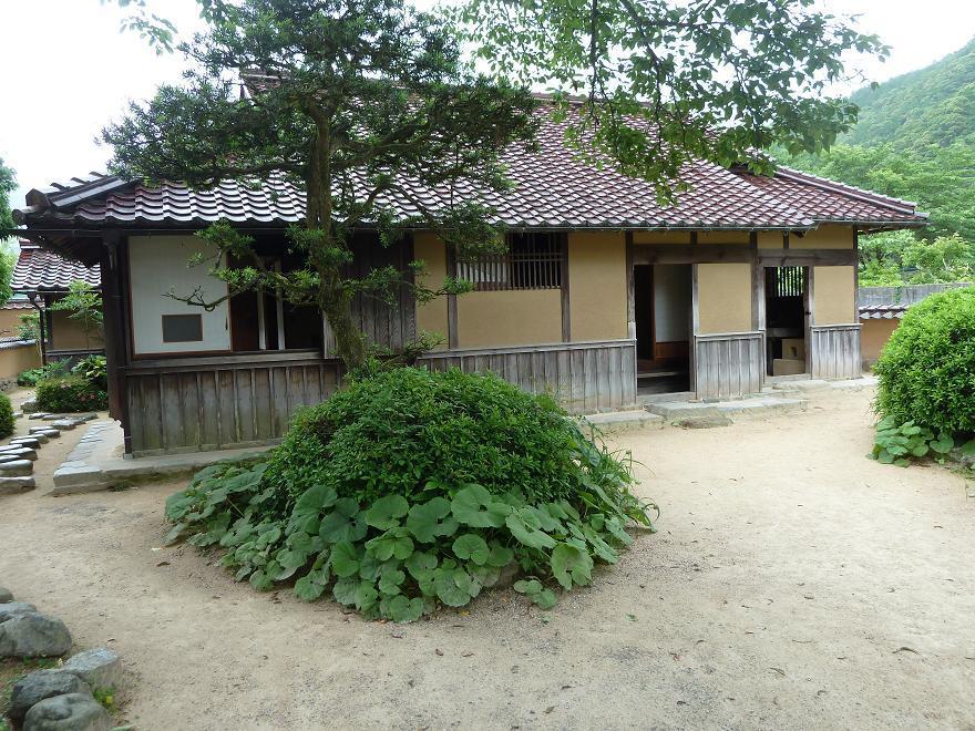 tuwano49.jpg