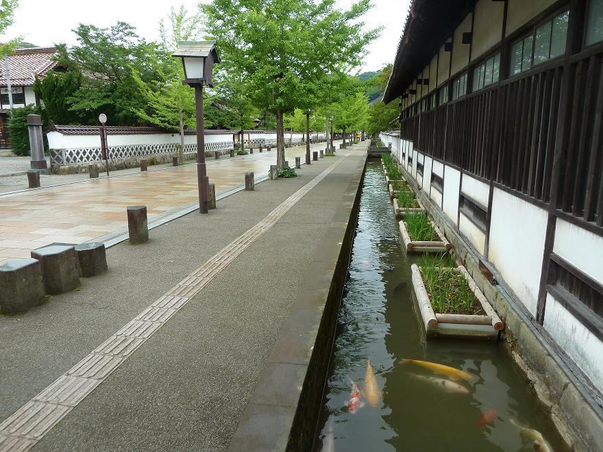 tuwano6.jpg