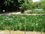 yomiya park.jpg