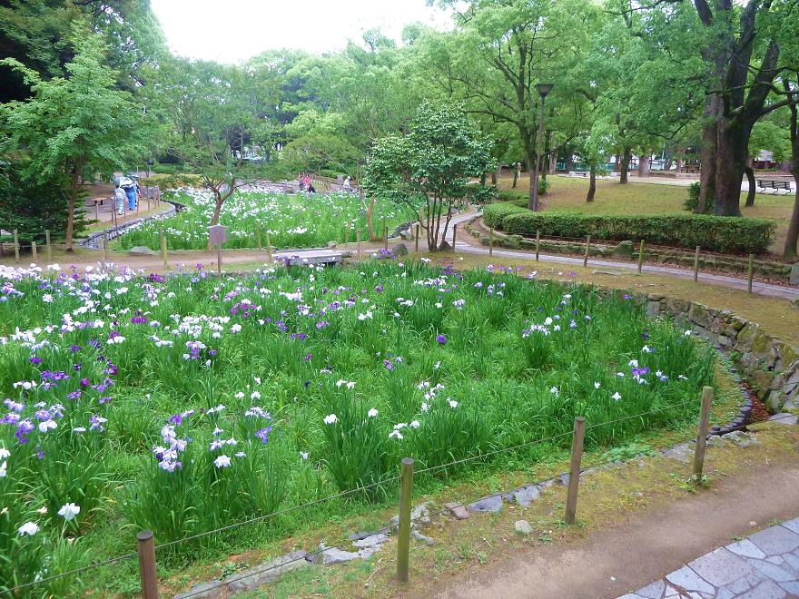 yomiya park.jpg