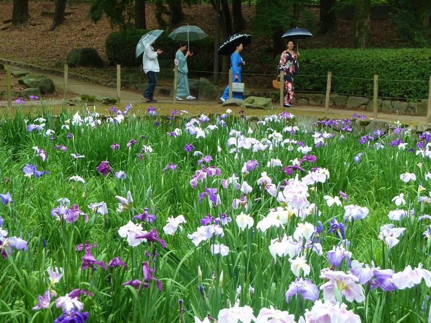 yomiya park2.jpg