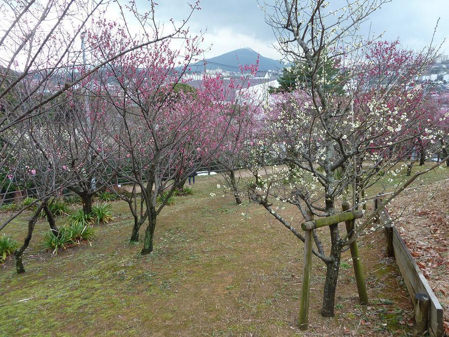 yomiya park2.jpg