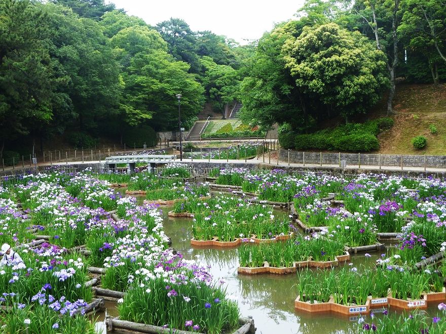 yomiyapark.jpg